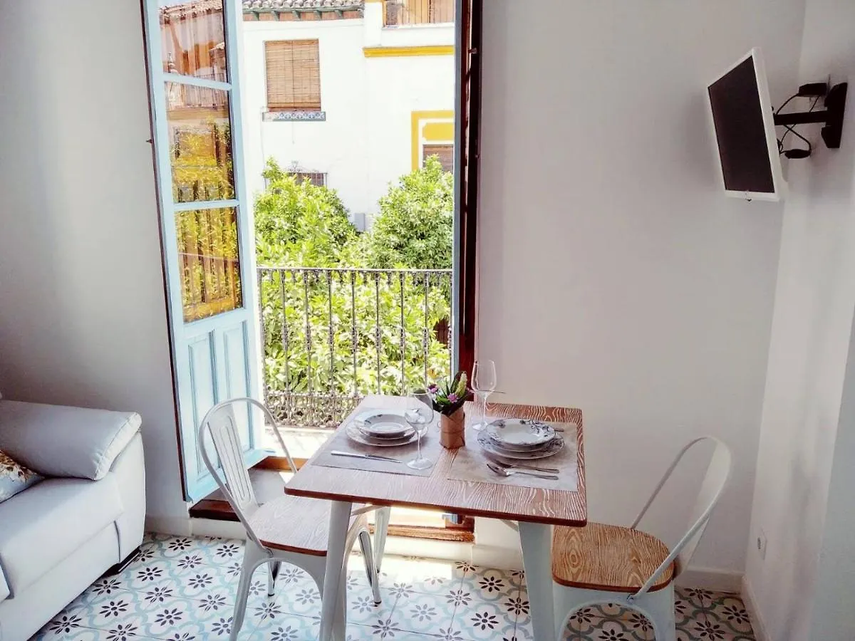 Apartamento LOFT CALIFATO I, II y III EN CASCO HISTÓRICO Córdoba